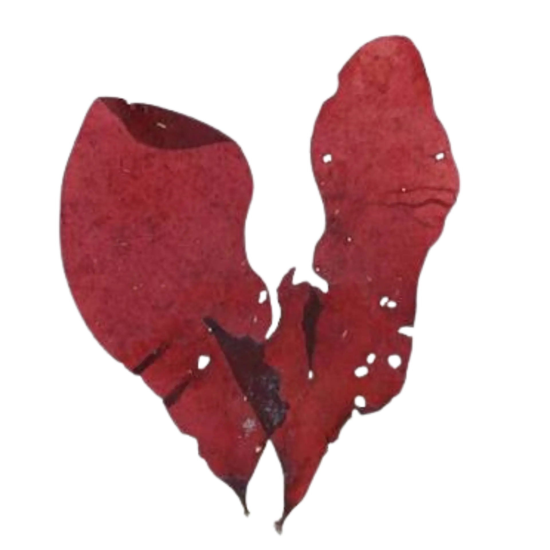 Köttblad