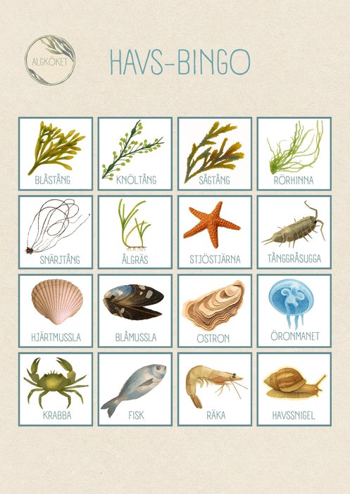 Förhandsvisning av Havs-bingo