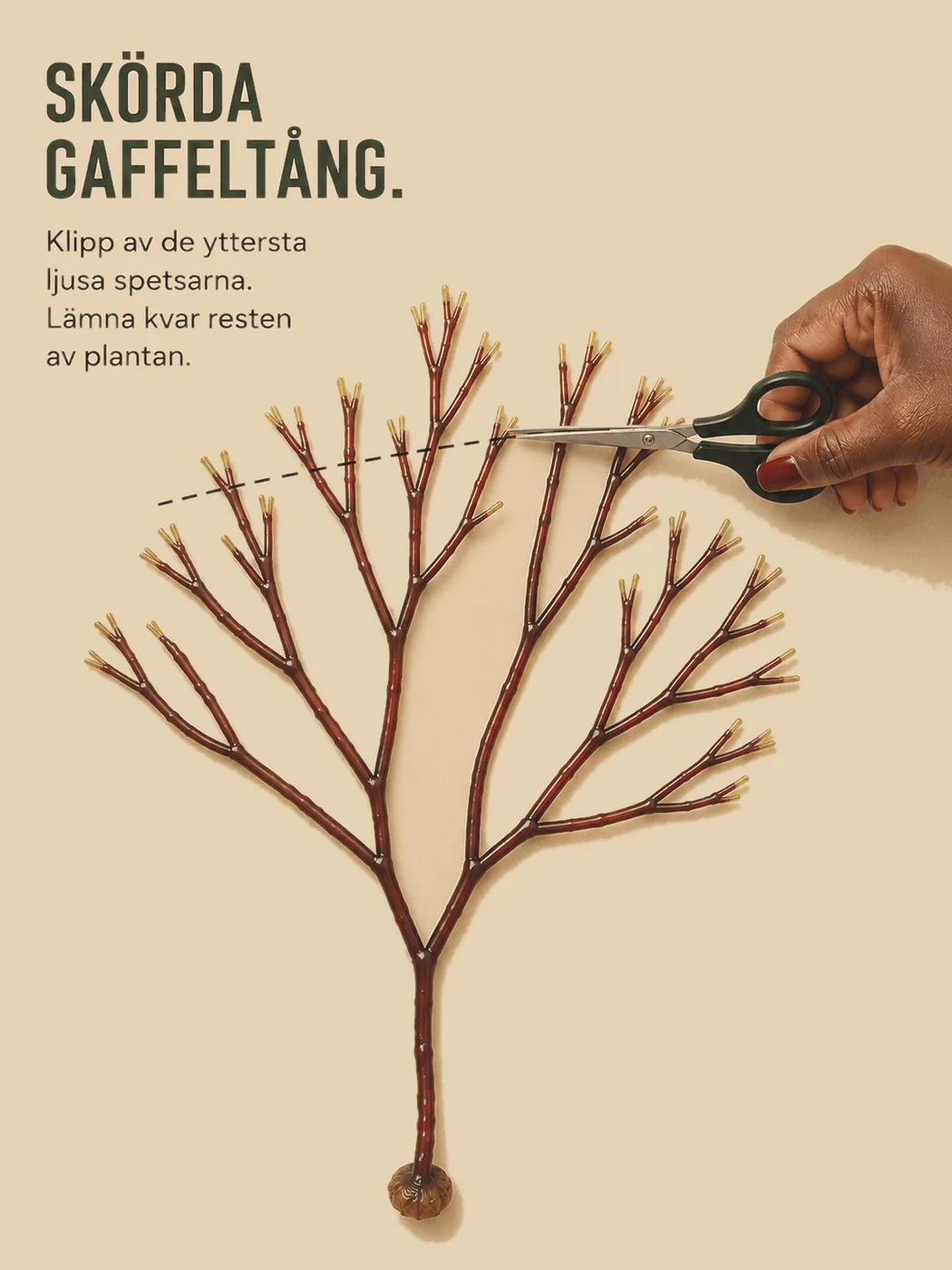 Gaffeltång skörd
