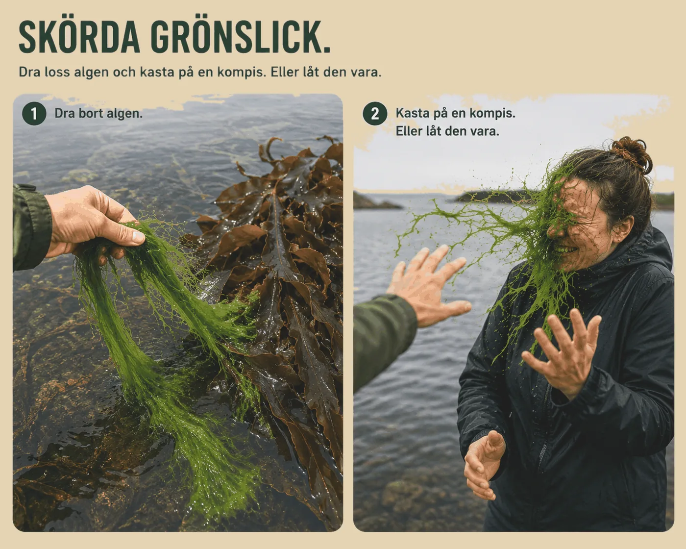Grönslick skörd
