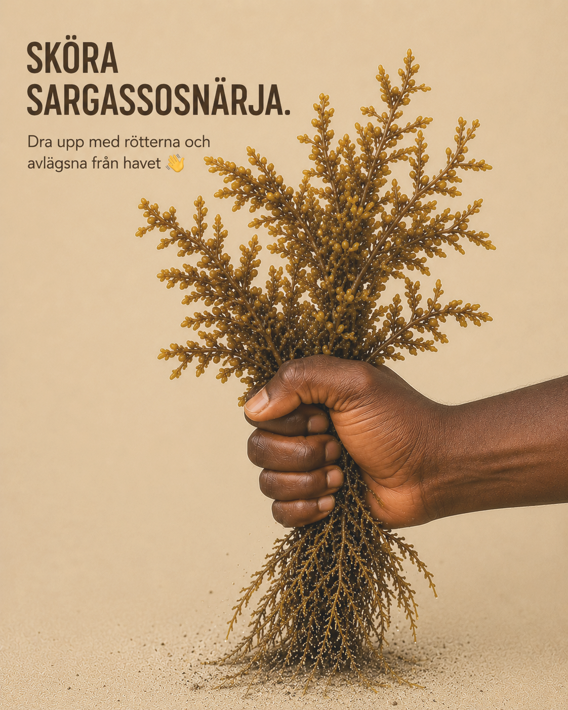 Sargassosnärja skörd