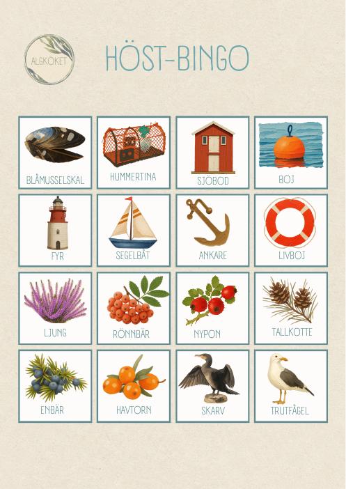 Förhandsvisning av Höst-bingo