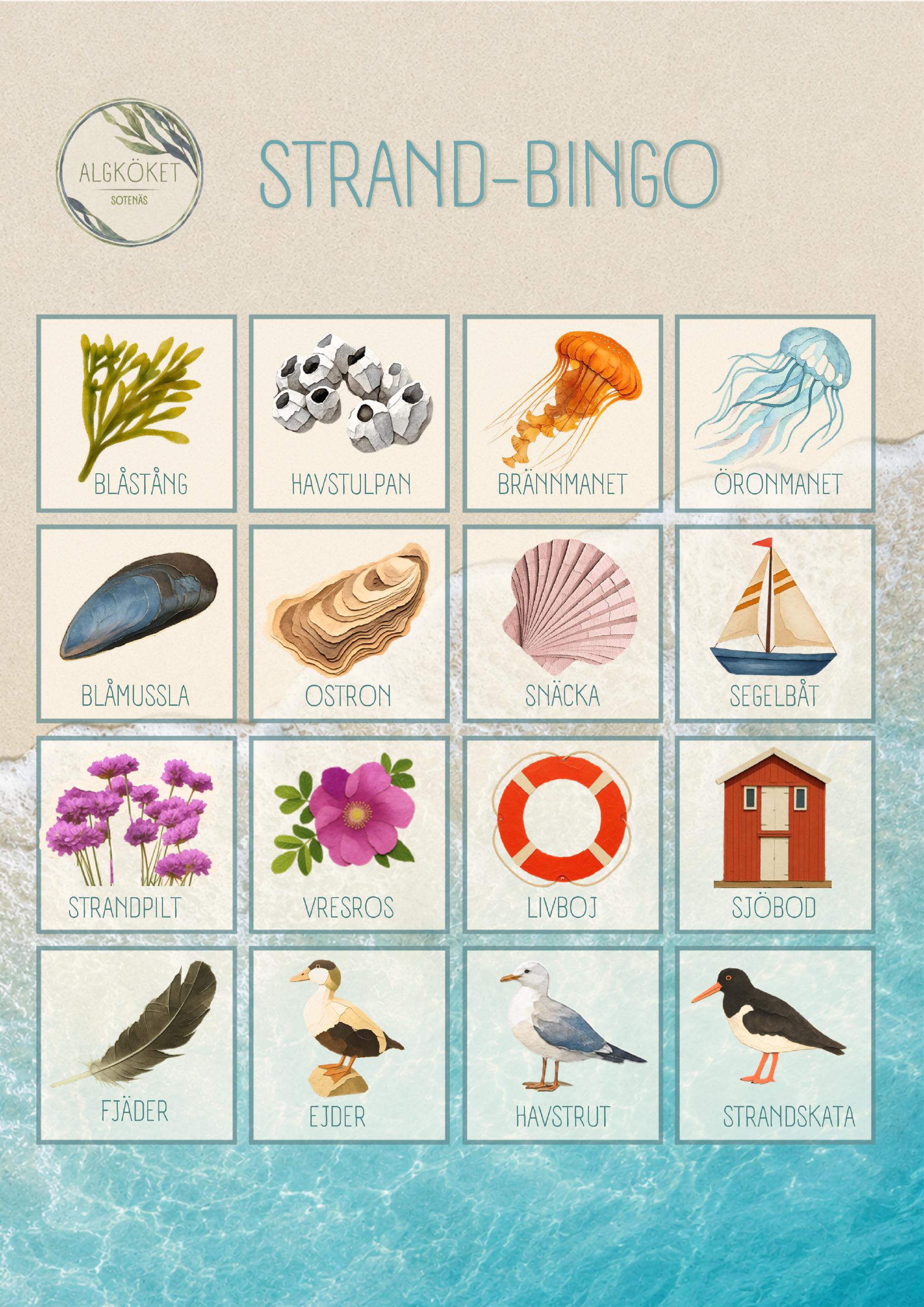 Förhandsvisning av Strand-bingo